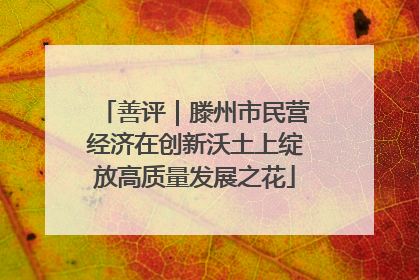 善评｜滕州市民营经济在创新沃土上绽放高质量发展之花