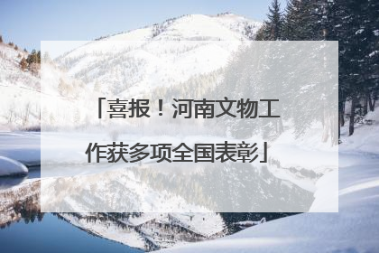 喜报！河南文物工作获多项全国表彰