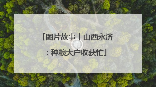 图片故事丨山西永济：种粮大户收获忙