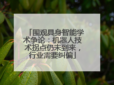 围观具身智能学术争论：机器人技术拐点仍未到来，行业需要纠偏