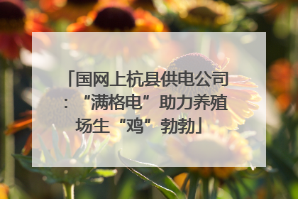 国网上杭县供电公司：“满格电”助力养殖场生“鸡”勃勃