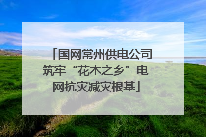 国网常州供电公司筑牢“花木之乡”电网抗灾减灾根基