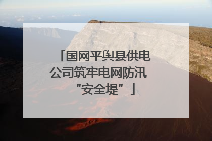国网平舆县供电公司筑牢电网防汛“安全堤”