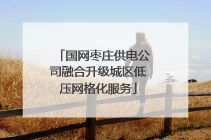 国网枣庄供电公司融合升级城区低压网格化服务