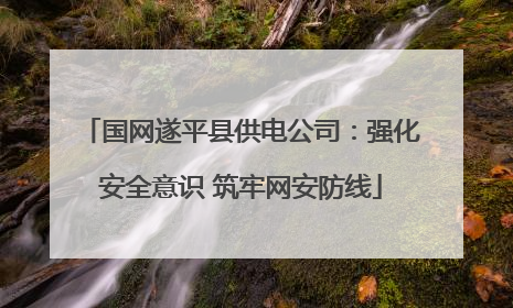国网遂平县供电公司：强化安全意识 筑牢网安防线