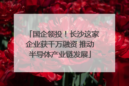 国企领投！长沙这家企业获千万融资 推动半导体产业链发展