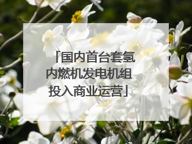 国内首台套氢内燃机发电机组投入商业运营