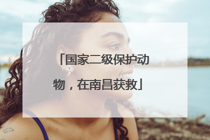 国家二级保护动物，在南昌获救