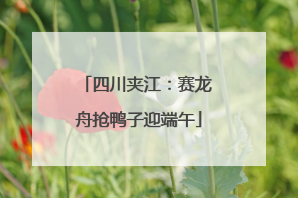 四川夹江：赛龙舟抢鸭子迎端午