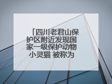 四川老君山保护区附近发现国家一级保护动物小灵猫 被称为“生态试纸”