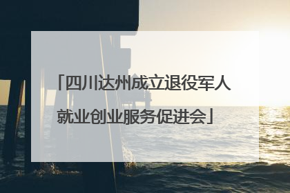 四川达州成立退役军人就业创业服务促进会
