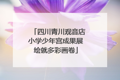 四川青川观音店小学少年宫成果展绘就多彩画卷