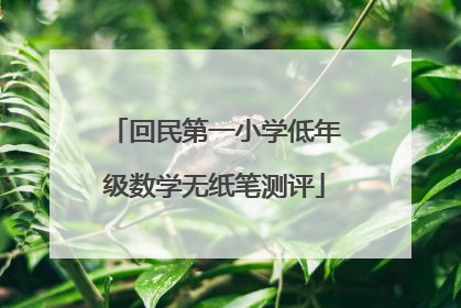 回民第一小学低年级数学无纸笔测评