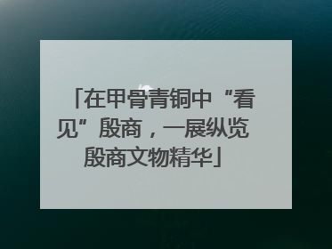 在甲骨青铜中“看见”殷商，一展纵览殷商文物精华
