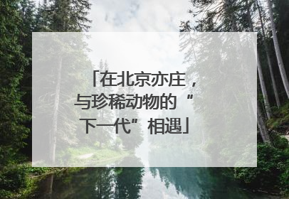 在北京亦庄，与珍稀动物的“下一代”相遇