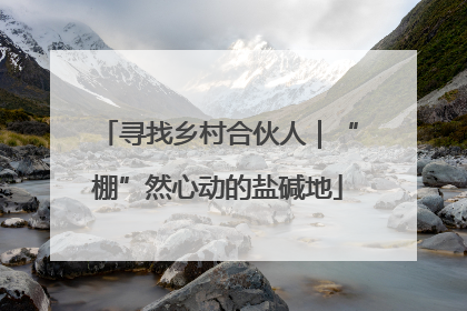 寻找乡村合伙人｜“棚”然心动的盐碱地