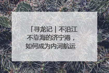 寻龙记｜不沿江不靠海的济宁港，如何成为内河航运的“绝对主力”