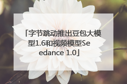 字节跳动推出豆包大模型1.6和视频模型Seedance 1.0