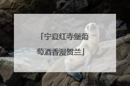 宁夏红寺堡葡萄酒香漫贺兰