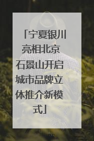 宁夏银川 亮相北京石景山开启城市品牌立体推介新模式