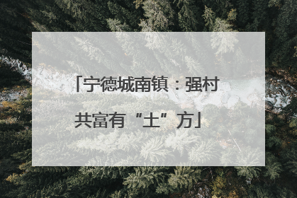 宁德城南镇：强村共富有“土”方
