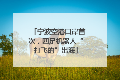 宁波空港口岸首次，四足机器人“打飞的”出海