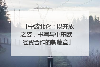 宁波北仑：以开放之姿，书写与中东欧经贸合作的新篇章