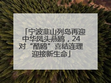 宁波韭山列岛再迎中华凤头燕鸥，24对“酷鸥”喜结连理迎接新生命