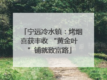 宁远冷水镇：烤烟喜获丰收 “黄金叶”铺就致富路