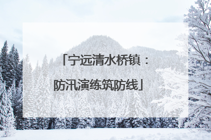 宁远清水桥镇：防汛演练筑防线