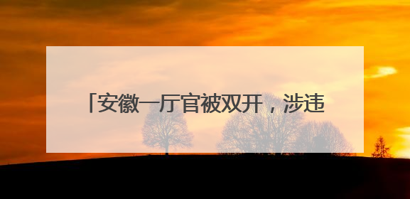 安徽一厅官被双开，涉违规编印个人文集等问题