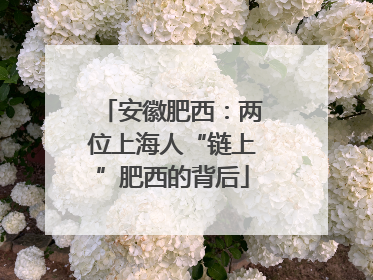 安徽肥西：两位上海人“链上”肥西的背后