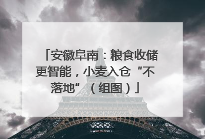 安徽阜南：粮食收储更智能，小麦入仓“不落地”（组图）