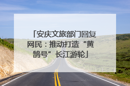 安庆文旅部门回复网民：推动打造“黄鹄号”长江游轮