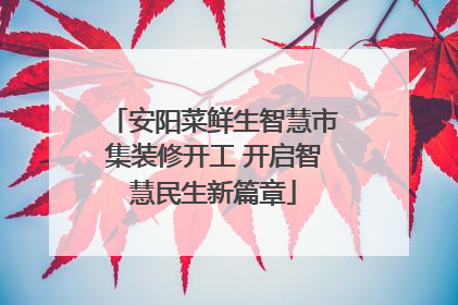 安阳菜鲜生智慧市集装修开工 开启智慧民生新篇章
