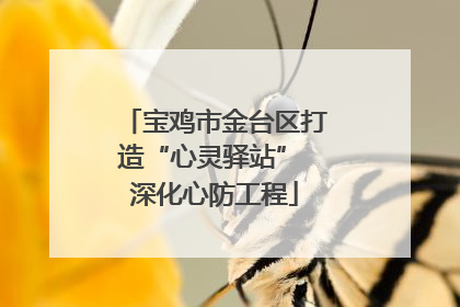 宝鸡市金台区打造“心灵驿站” 深化心防工程