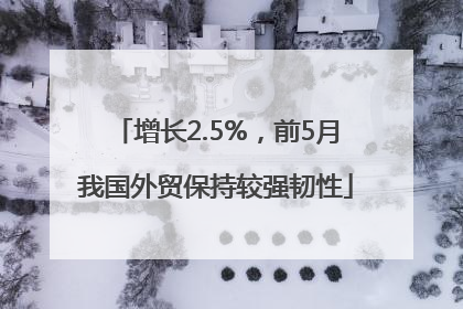 增长2.5%，前5月我国外贸保持较强韧性