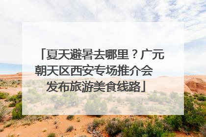 夏天避暑去哪里？广元朝天区西安专场推介会 发布旅游美食线路