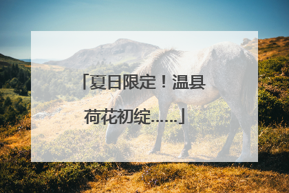 夏日限定！温县荷花初绽……