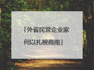 外省民营企业家何以扎根商南