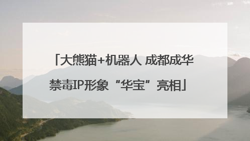 大熊猫+机器人 成都成华禁毒IP形象“华宝”亮相