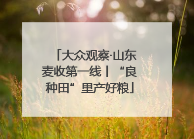 大众观察·山东麦收第一线丨“良种田”里产好粮
