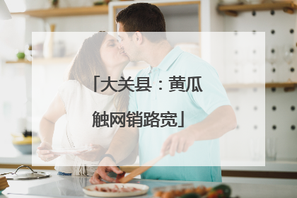 大关县：黄瓜触网销路宽