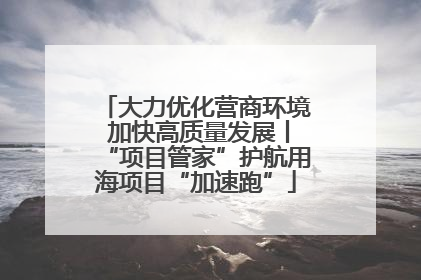 大力优化营商环境 加快高质量发展丨“项目管家”护航用海项目“加速跑”