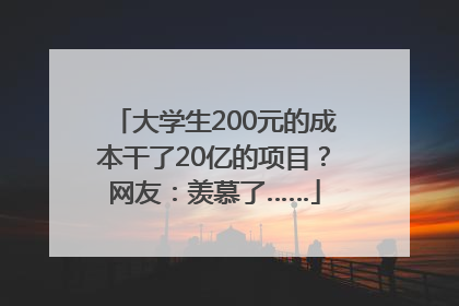 大学生200元的成本干了20亿的项目？网友：羡慕了……