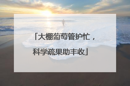 大棚葡萄管护忙，科学疏果助丰收