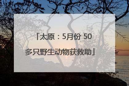 太原：5月份 50多只野生动物获救助