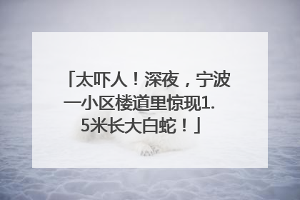 太吓人！深夜，宁波一小区楼道里惊现1.5米长大白蛇！