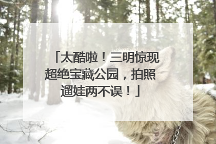 太酷啦！三明惊现超绝宝藏公园，拍照遛娃两不误！