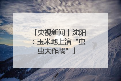 央视新闻｜沈阳：玉米地上演“虫虫大作战”